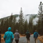Group of hikers walking on a road through a misty pine forest on a cloudy day. — Explore Diverse Breaks and Coastal Scenery w