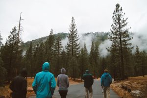 Group of hikers walking on a road through a misty pine forest on a cloudy day. — Explore Diverse Breaks and Coastal Scenery w