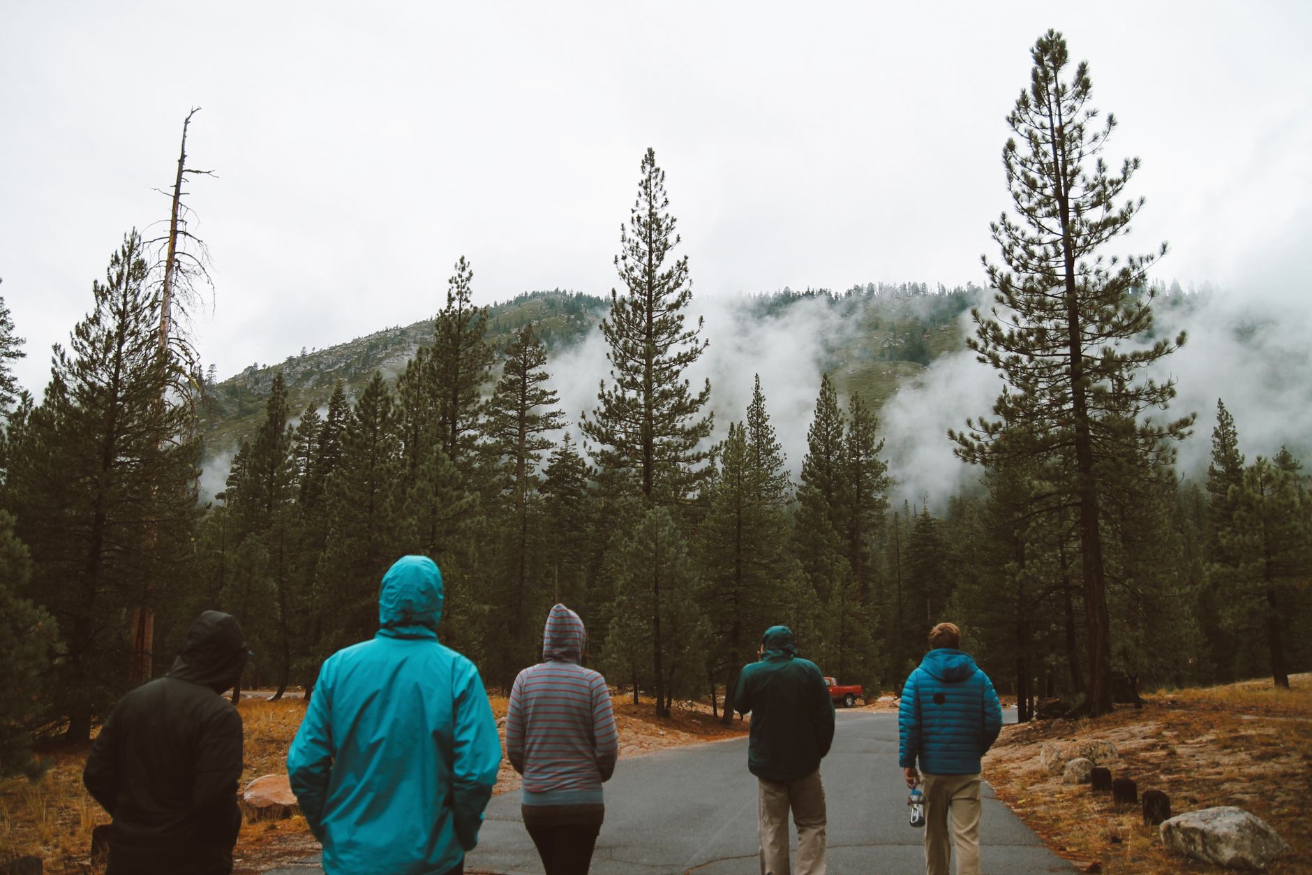 Group of hikers walking on a road through a misty pine forest on a cloudy day. — Explore Diverse Breaks and Coastal Scenery w