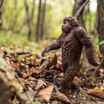 Bigfoot proof