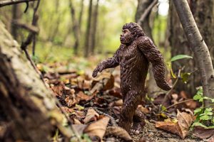 Bigfoot proof