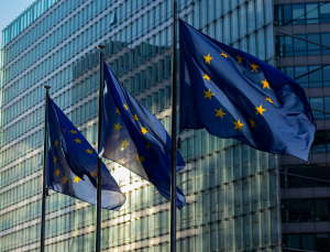 India EU strategic partnership